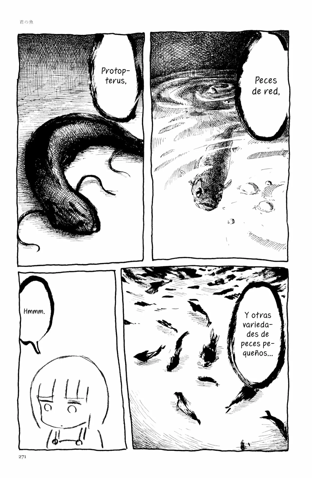4 Acuario Ashizuri