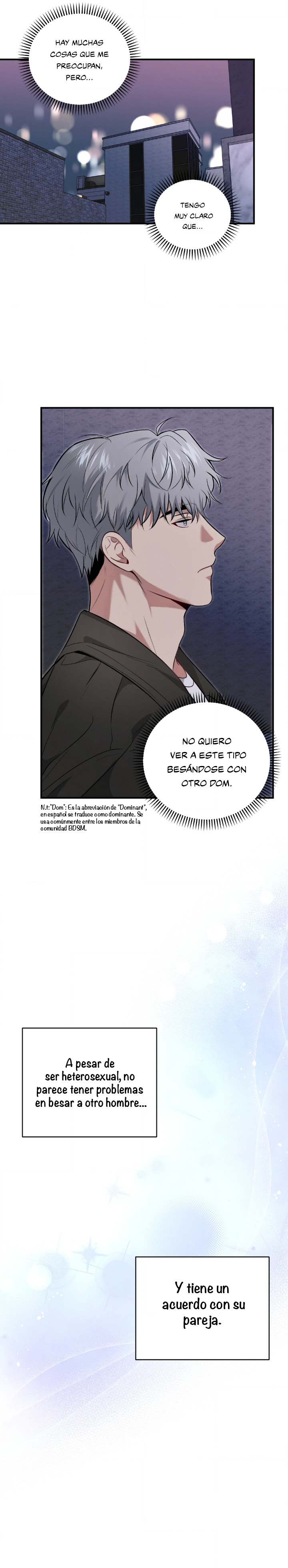 17 Compañero Invisible