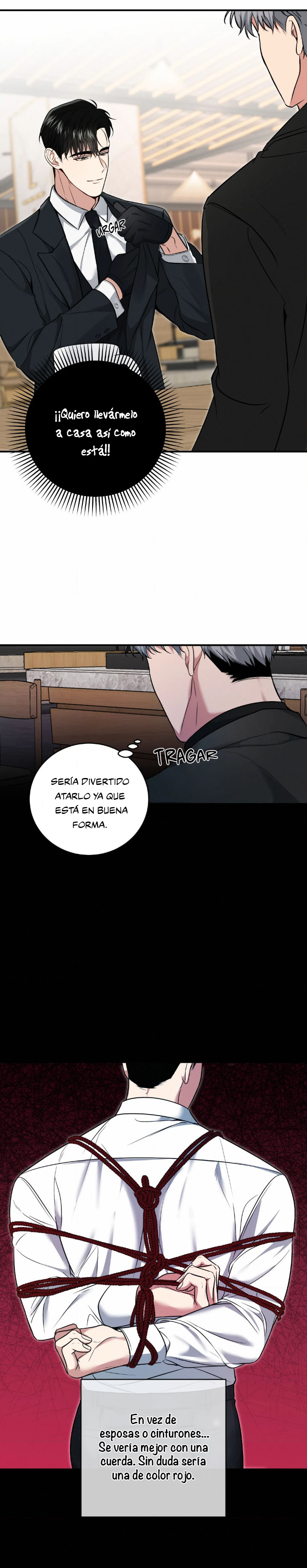 3 Compañero Invisible