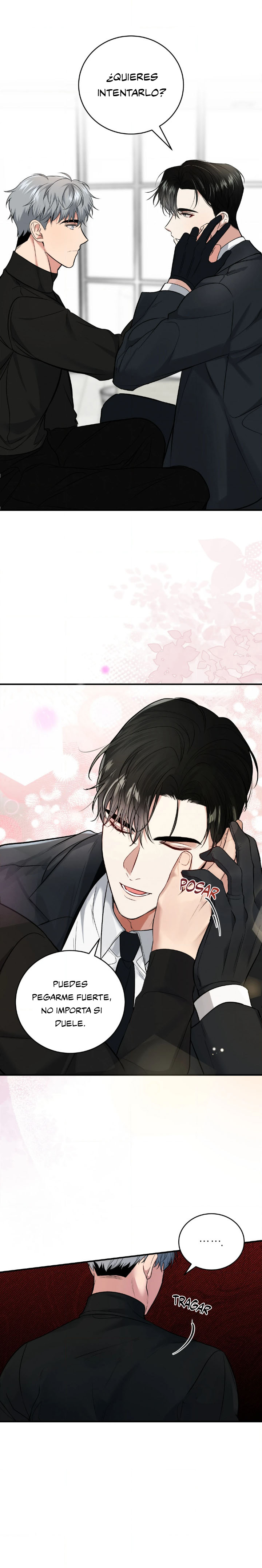 20 Compañero Invisible