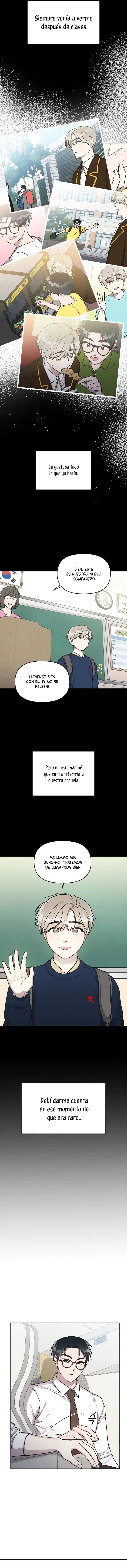 6 Bragas de acero y sin paquete