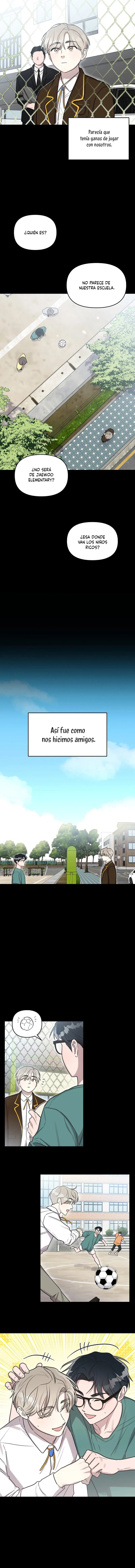 5 Bragas de acero y sin paquete