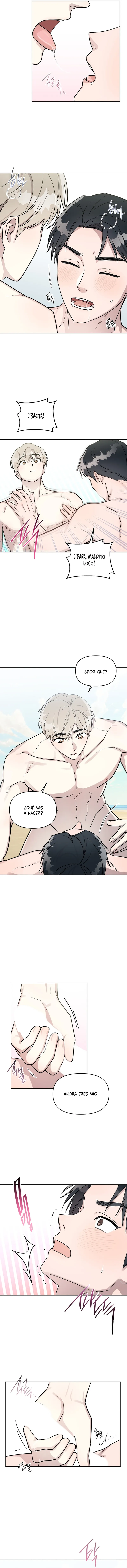 10 Bragas de acero y sin paquete