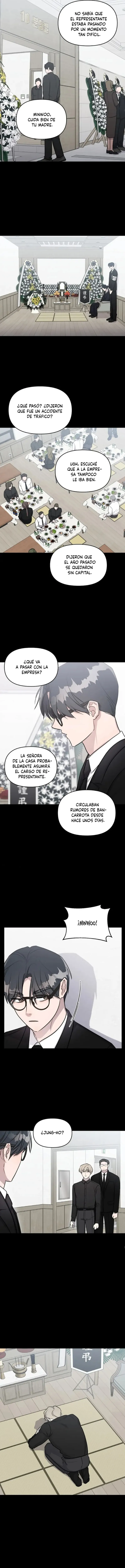 7 Bragas de acero y sin paquete