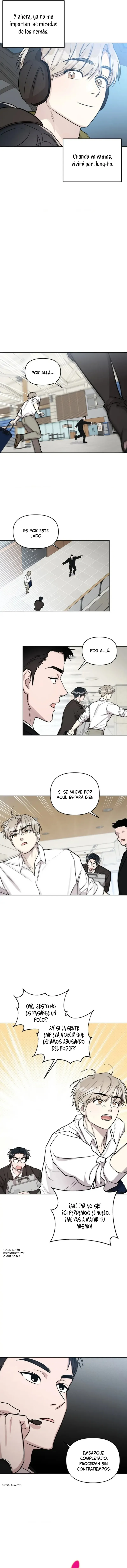 12 Bragas de acero y sin paquete
