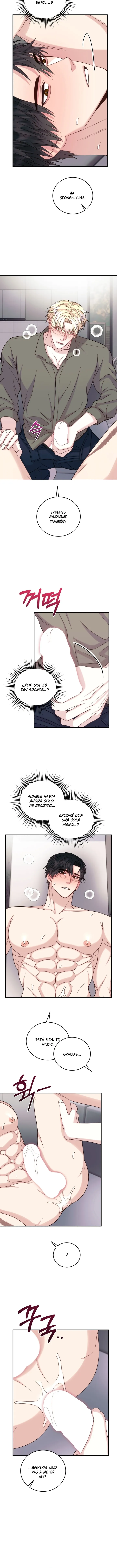 15 Q Pigmaleón
