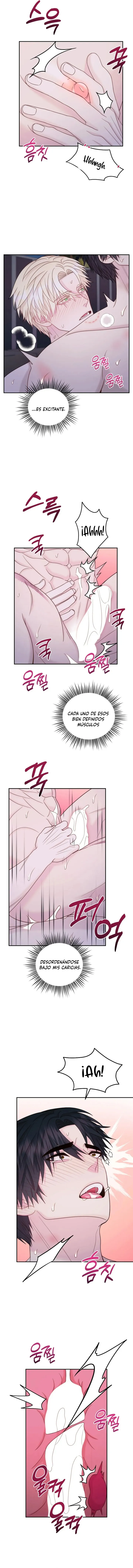 17 Q Pigmaleón