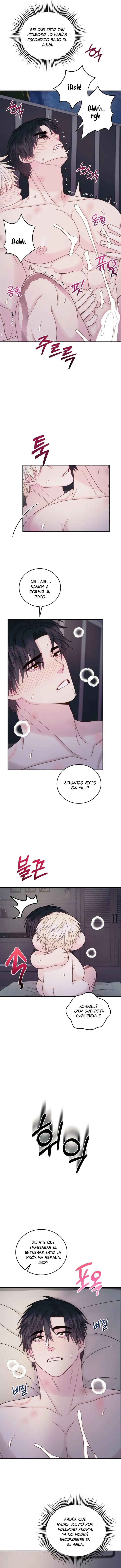 18 Q Pigmaleón