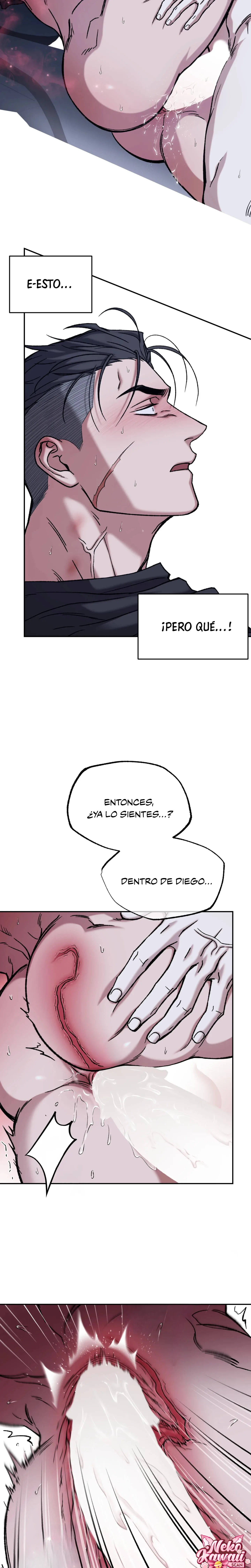 7 Luz del Atardecer