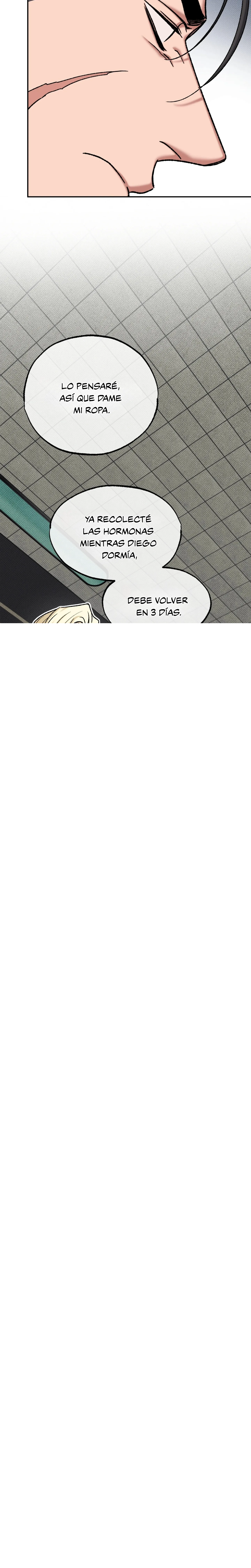 4 Luz del Atardecer