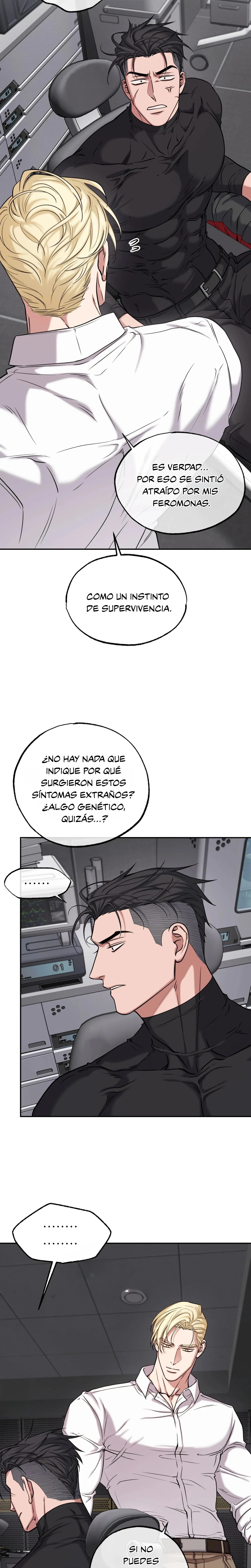 4 Luz del Atardecer