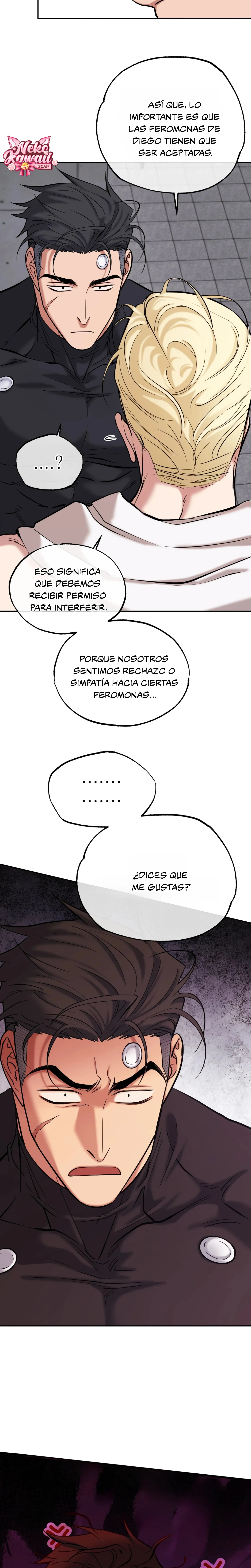 8 Luz del Atardecer