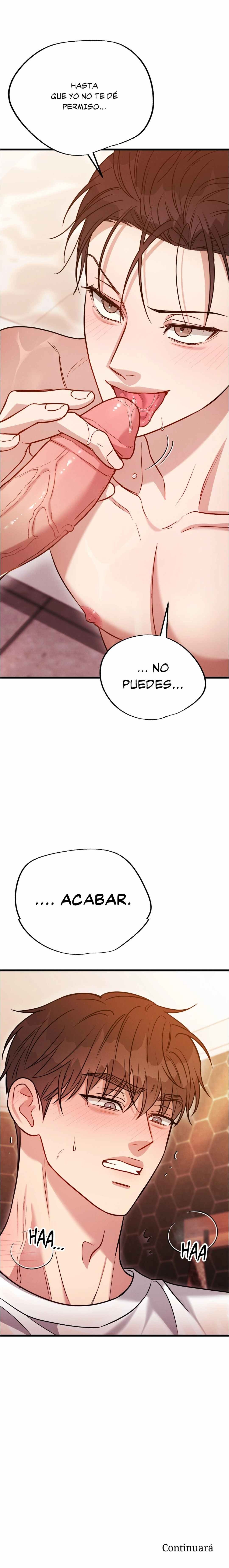 15 Estímulo