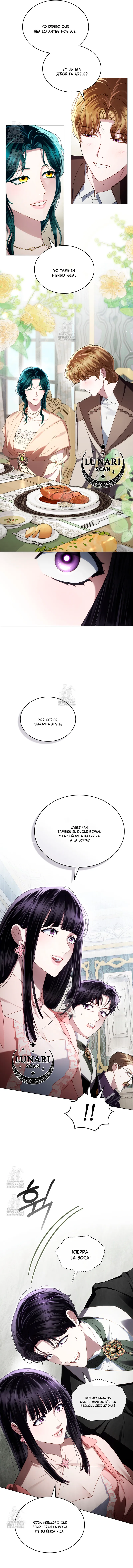 8 Clase Alta