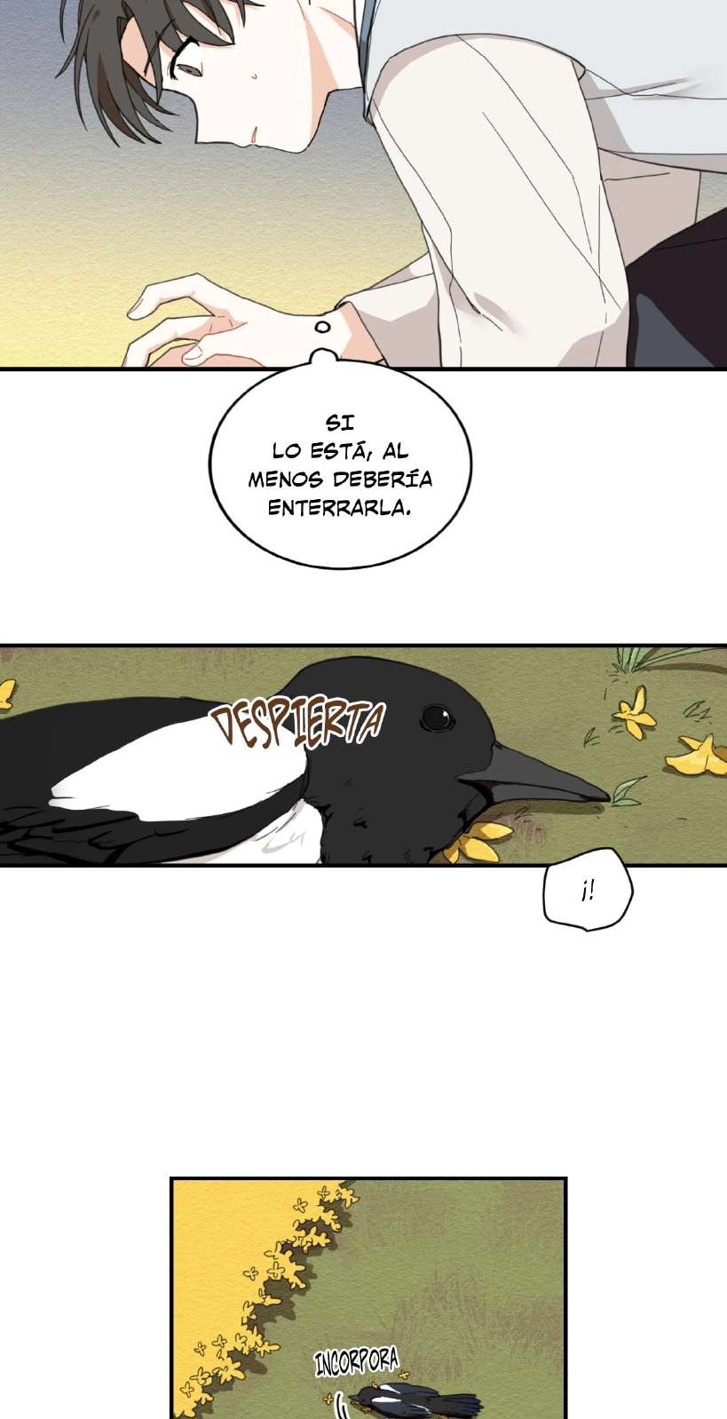 14 LO QUE TRAJO LA PRIMAVERA