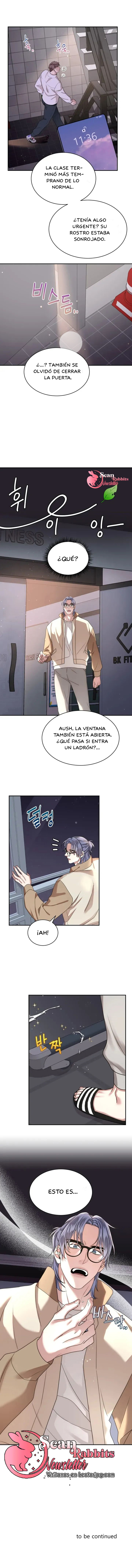 6 Leche Estrellada