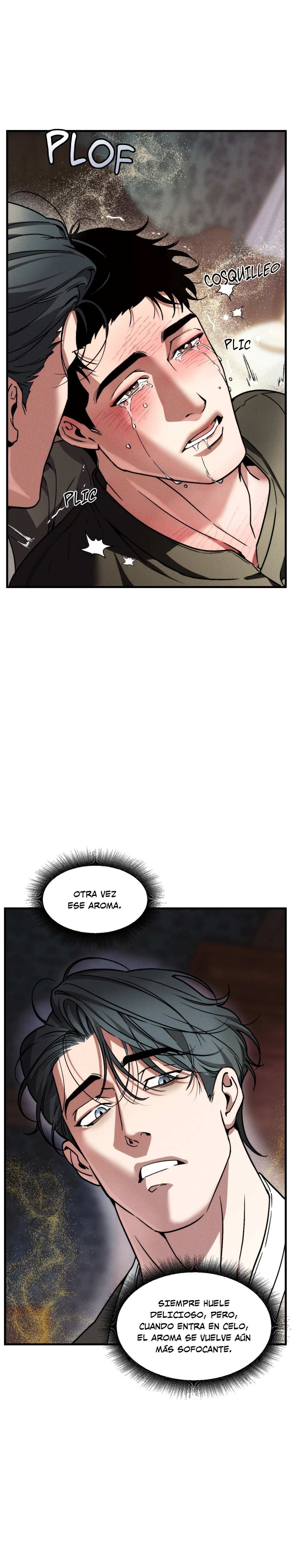 11 Tragarte Entero